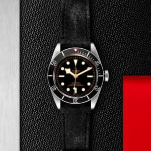 TUDOR Black Bay 41mm Black Dial & Bezel Men's Automatic Strap Watch M79230N-0008