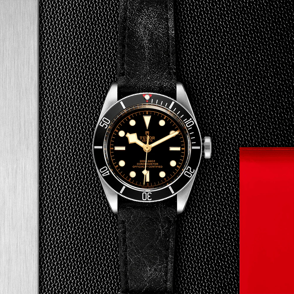 TUDOR Black Bay 41mm Black Dial & Bezel Men's Automatic Strap Watch M79230N-0008