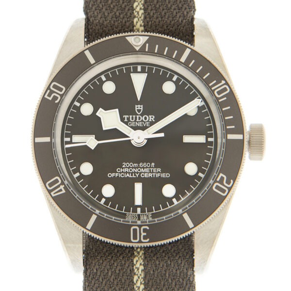 TUDOR Black Bay 58 925 39mm Silver Case Taupe Dial Fabric Strap Watch