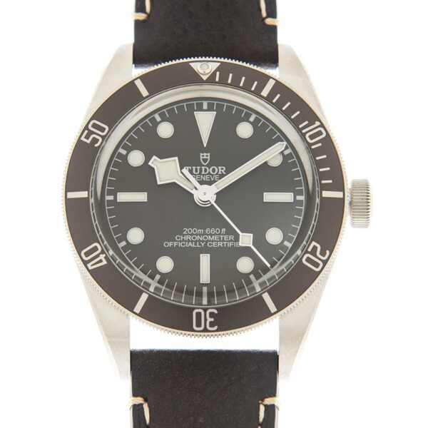 TUDOR Black Bay 58 925 39mm Silver Case Taupe Dial Leather Strap Watch M79010SG-0001
