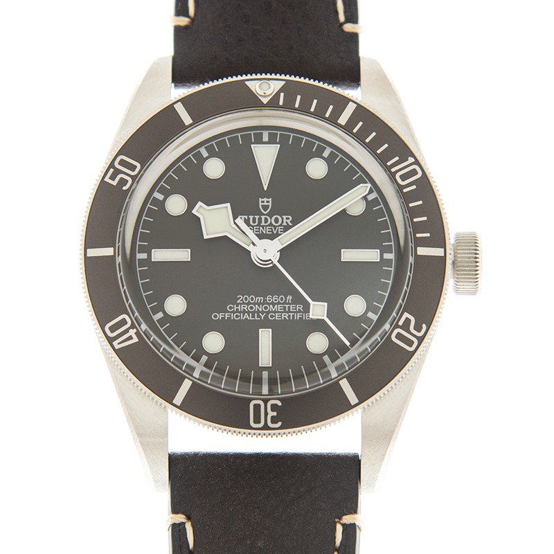 TUDOR Black Bay 58 925 39mm Silver Case Taupe Dial Leather Strap Watch M79010SG-0001