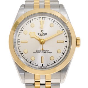 TUDOR Black Bay 41mm S&G Silver Dial Automatic Men's Bracelet Watch M79683-0002