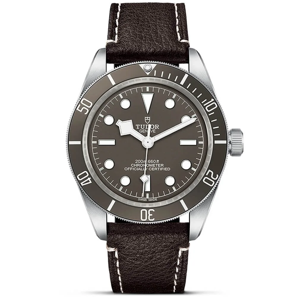 TUDOR Black Bay 58 925 39mm Silver Case Taupe Dial Leather Strap Watch M79010SG-0001