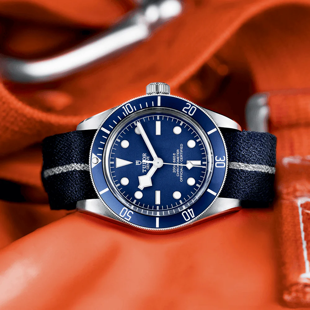 TUDOR Black Bay 58 39mm Navy Blue Dial & Bezel Automatic Fabric Strap Watch M79030B-0003