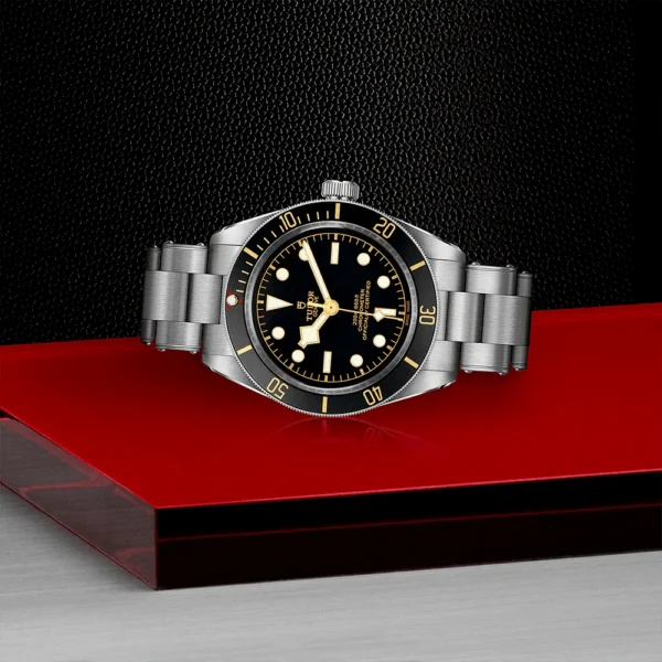 TUDOR Black Bay 58 39mm Black Dial & Bezel Automatic Bracelet Watch M79030N-0001