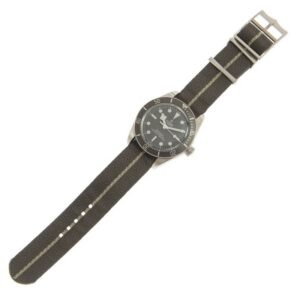 TUDOR Black Bay 58 925 39mm Silver Case Taupe Dial Fabric Strap Watch