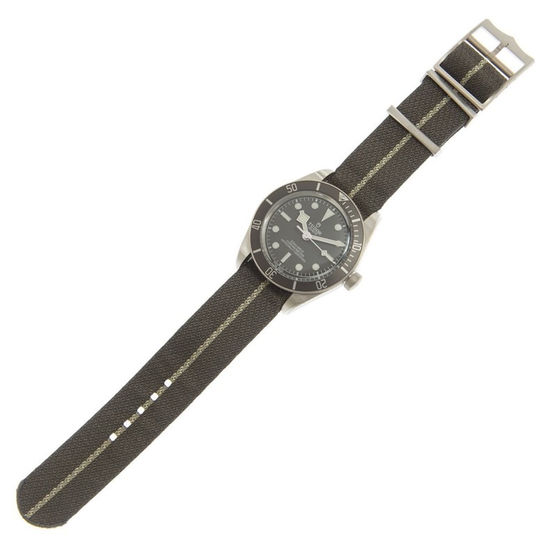 TUDOR Black Bay 58 925 39mm Silver Case Taupe Dial Fabric Strap Watch