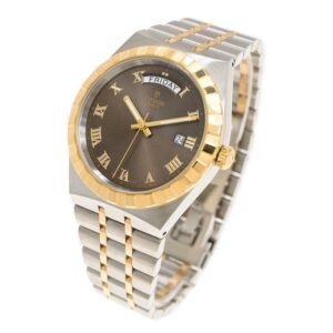 TUDOR Royal Date/Day 41mm S&G Brown Roman Dial Automatic Watch M28603-0007