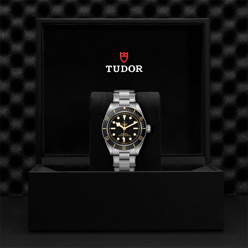 TUDOR Black Bay 58 39mm Black Dial & Bezel Automatic Bracelet Watch M79030N-0001