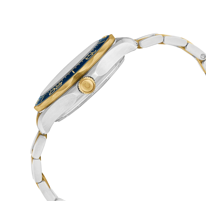 Omega 210.20.42.20.03.001 Seamaster Diver 300m Co-Axial-Maste - New