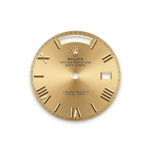 RLX Day-Date 40mm 228398TBR-0003 Champagne Dial President Watch