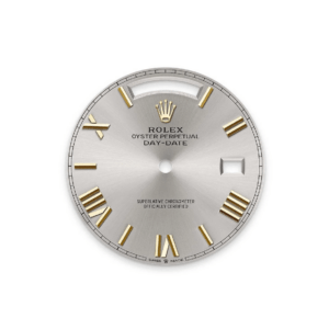 RLX Day-Date 40mm 228398TBR-0006 Silver Dial President Watch