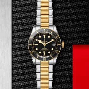 TUDOR Black Bay S&G 41mm Black/Gold Dial Automatic Men's Bracelet Watch M79733N-0008