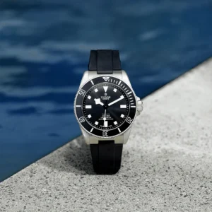 TUDOR Pelagos 39mm Black Sunray Dial & Ceramic Bezel Titanium Automatic Watch M25407N-0001