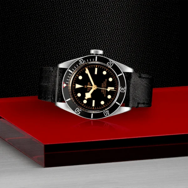 TUDOR Black Bay 41mm Black Dial & Bezel Men's Automatic Strap Watch M79230N-0008