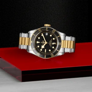 TUDOR Black Bay S&G 41mm Black/Gold Dial Automatic Men's Bracelet Watch M79733N-0008
