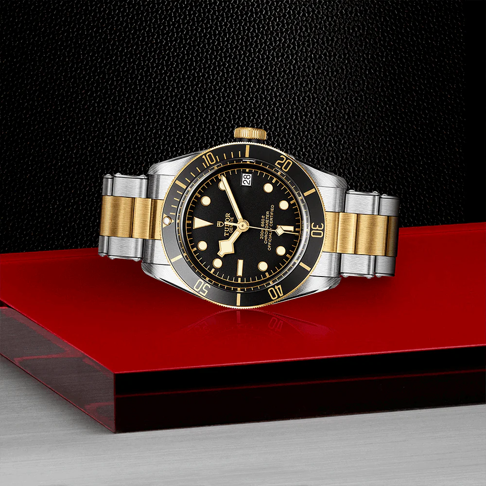 TUDOR Black Bay S&G 41mm Black/Gold Dial Automatic Men's Bracelet Watch M79733N-0008