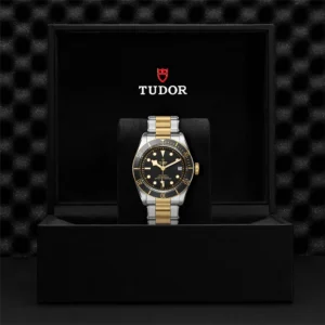 TUDOR Black Bay S&G 41mm Black/Gold Dial Automatic Men's Bracelet Watch M79733N-0008