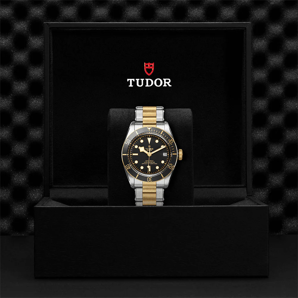 TUDOR Black Bay S&G 41mm Black/Gold Dial Automatic Men's Bracelet Watch M79733N-0008