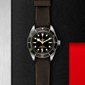 TUDOR Black Bay 58 39mm Black Dial & Bezel Automatic Strap Watch M79030N-0002