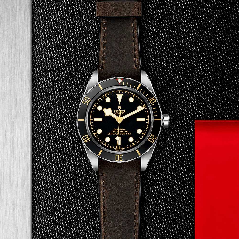 TUDOR Black Bay 58 39mm Black Dial & Bezel Automatic Strap Watch M79030N-0002