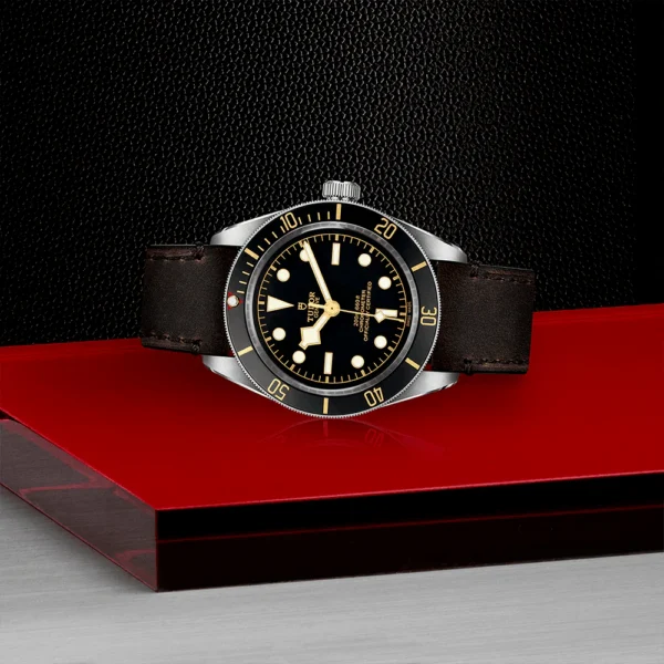 TUDOR Black Bay 58 39mm Black Dial & Bezel Automatic Strap Watch M79030N-0002