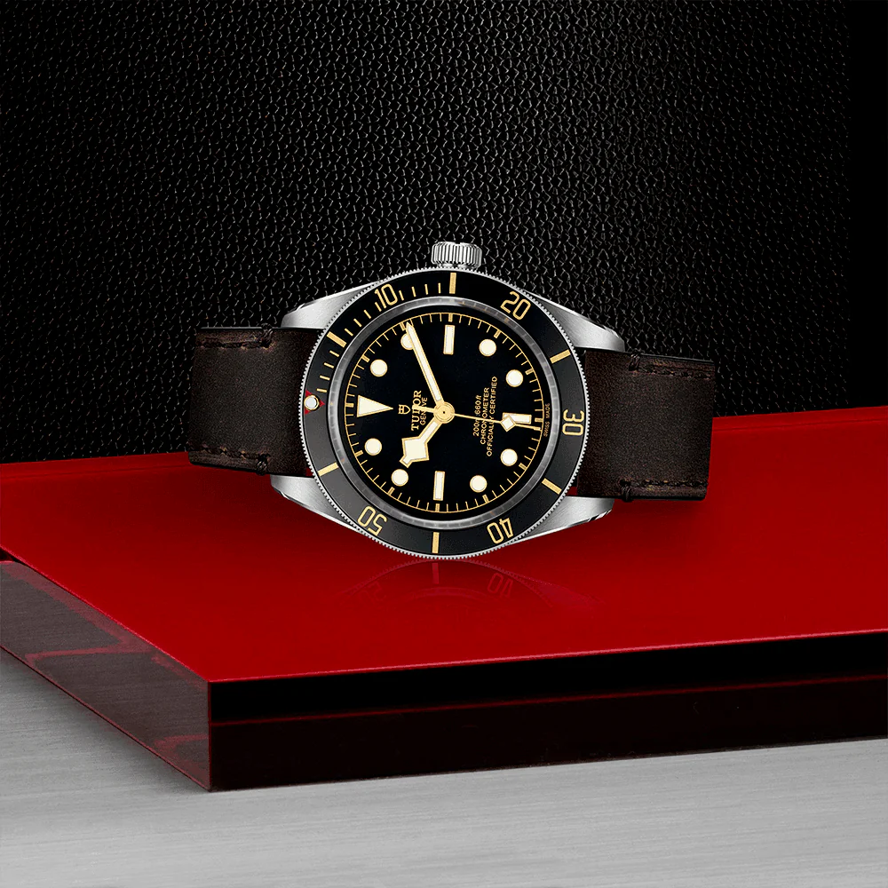 TUDOR Black Bay 58 39mm Black Dial & Bezel Automatic Strap Watch M79030N-0002