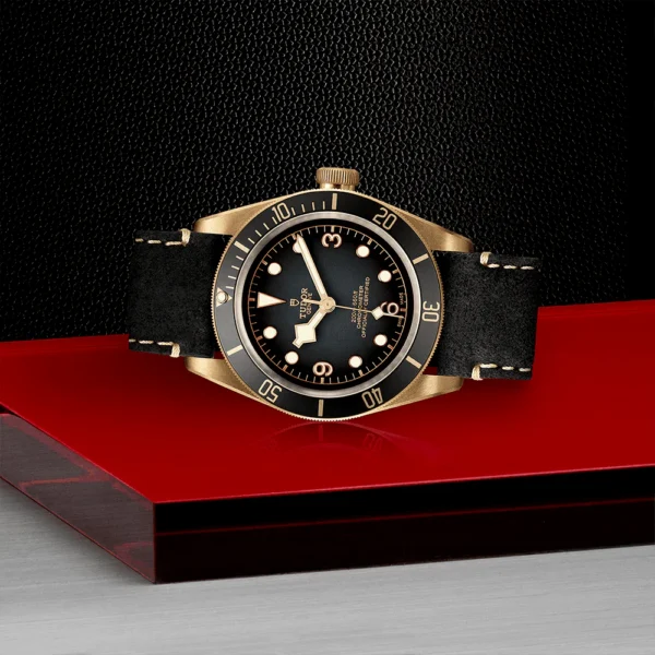 TUDOR Black Bay Bronze 43mm Slate Grey Dial Men's Automatic Leather Strap Watch M79250BA-0001