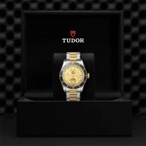 TUDOR Black Bay S&G 41mm Champagne Dial Automatic Men's Bracelet Watch M79733N-0004