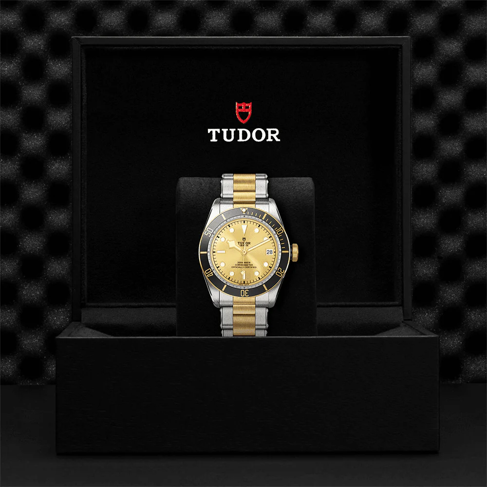 TUDOR Black Bay S&G 41mm Champagne Dial Automatic Men's Bracelet Watch M79733N-0004
