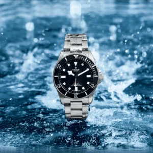 TUDOR Pelagos 39mm Black Sunray Dial & Ceramic Bezel Titanium Automatic Watch M25407N-0001