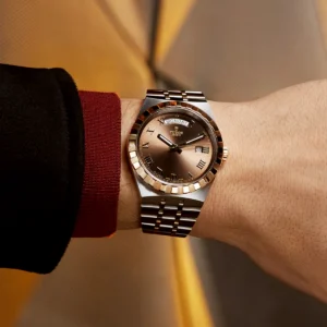 TUDOR Royal Date/Day 41mm S&G Brown Roman Dial Automatic Watch M28603-0007
