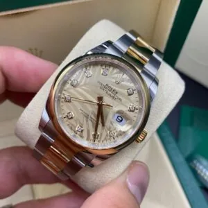 RLX Datejust 36mm 126203 Golden Palm Dial Domed Bezel Oyster Bracelet