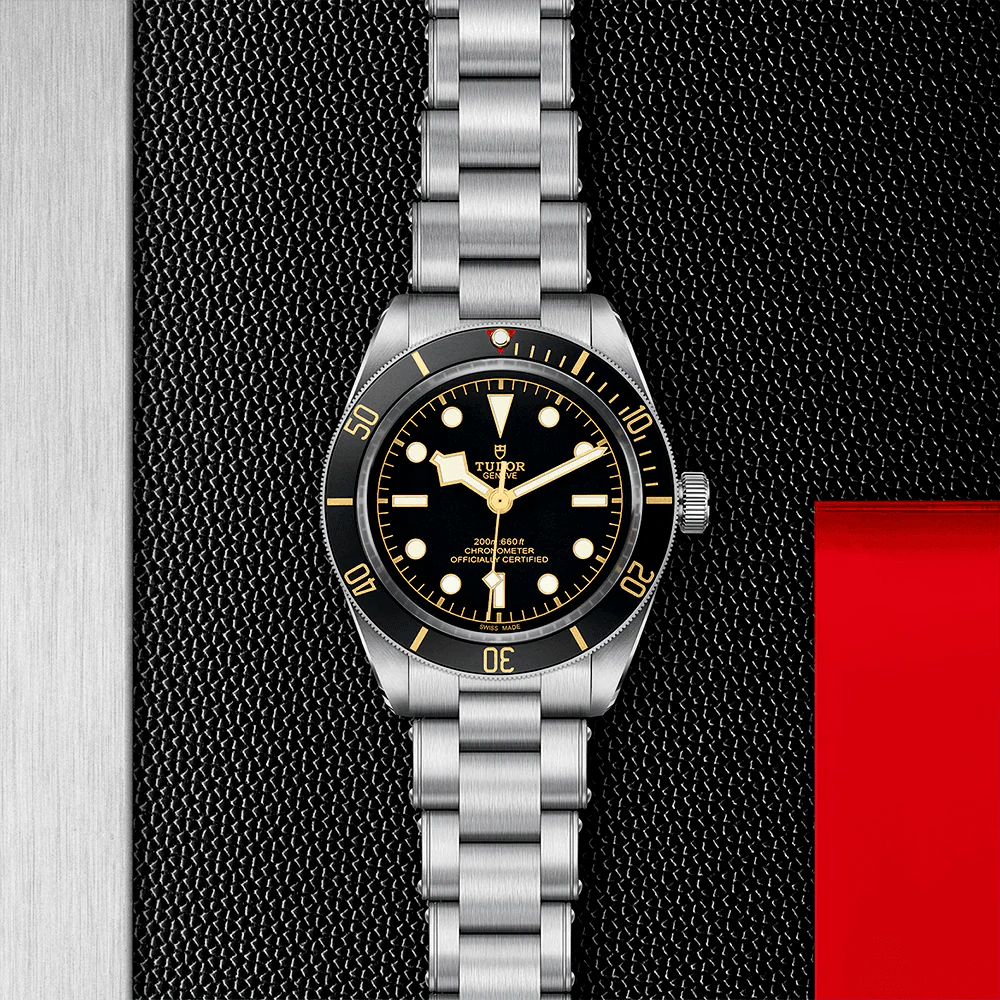 TUDOR Black Bay 58 39mm Black Dial & Bezel Automatic Bracelet Watch M79030N-0001