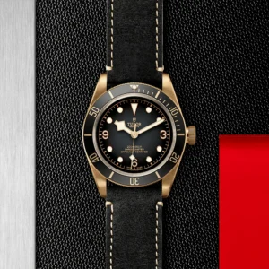 TUDOR Black Bay Bronze 43mm Slate Grey Dial Men's Automatic Leather Strap Watch M79250BA-0001
