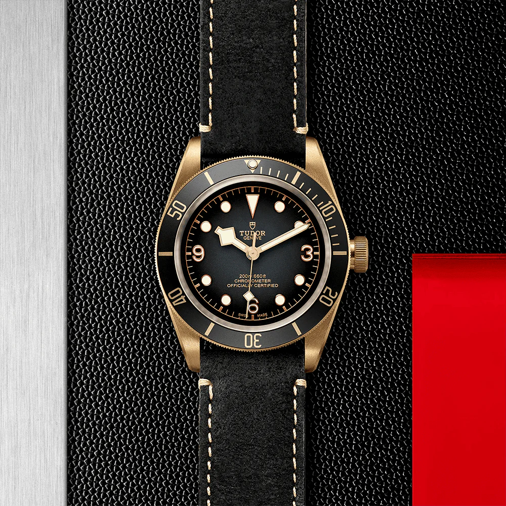 TUDOR Black Bay Bronze 43mm Slate Grey Dial Men's Automatic Leather Strap Watch M79250BA-0001