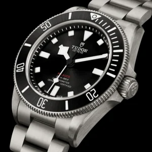 TUDOR Pelagos 39mm Black Sunray Dial & Ceramic Bezel Titanium Automatic Watch M25407N-0001