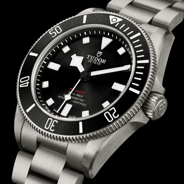 TUDOR Pelagos 39mm Black Sunray Dial & Ceramic Bezel Titanium Automatic Watch M25407N-0001