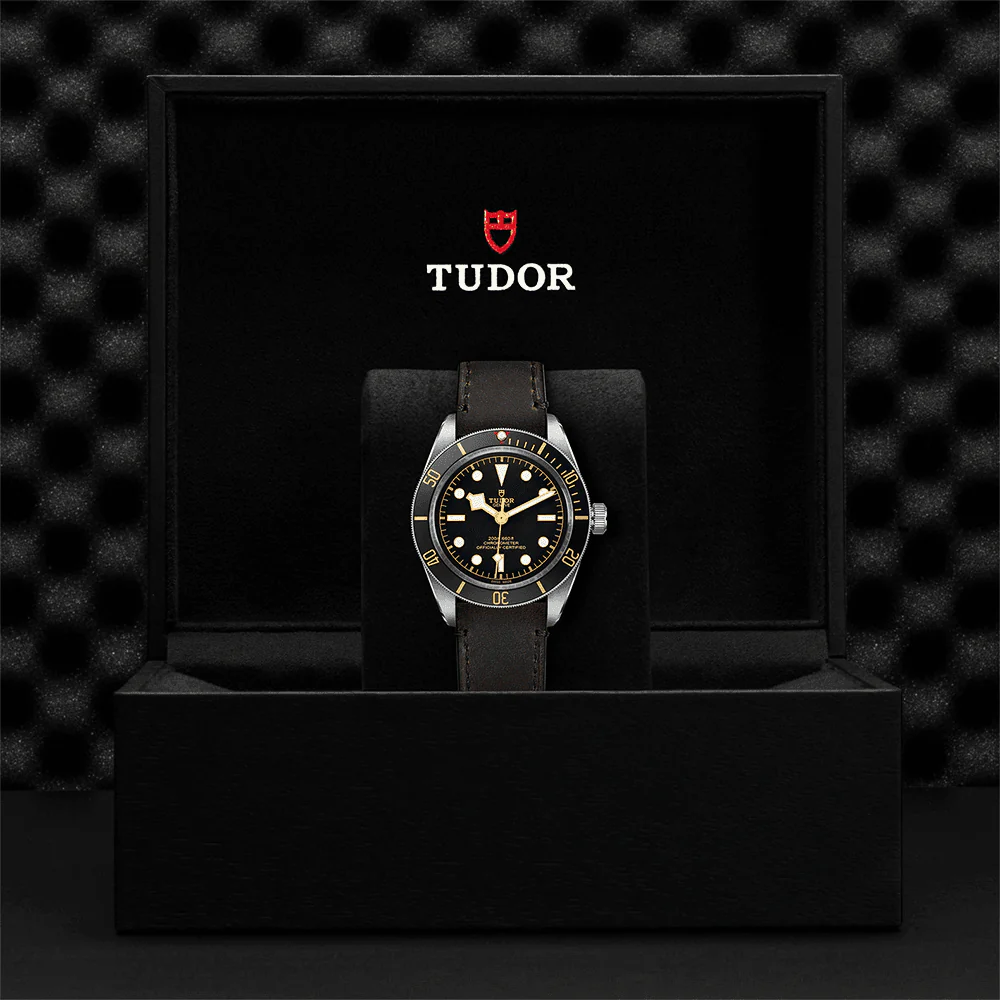 TUDOR Black Bay 58 39mm Black Dial & Bezel Automatic Strap Watch M79030N-0002