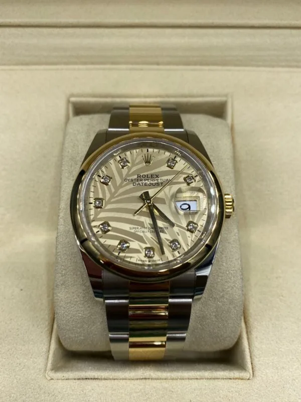 RLX Datejust 36mm 126203 Golden Palm Dial Domed Bezel Oyster Bracelet