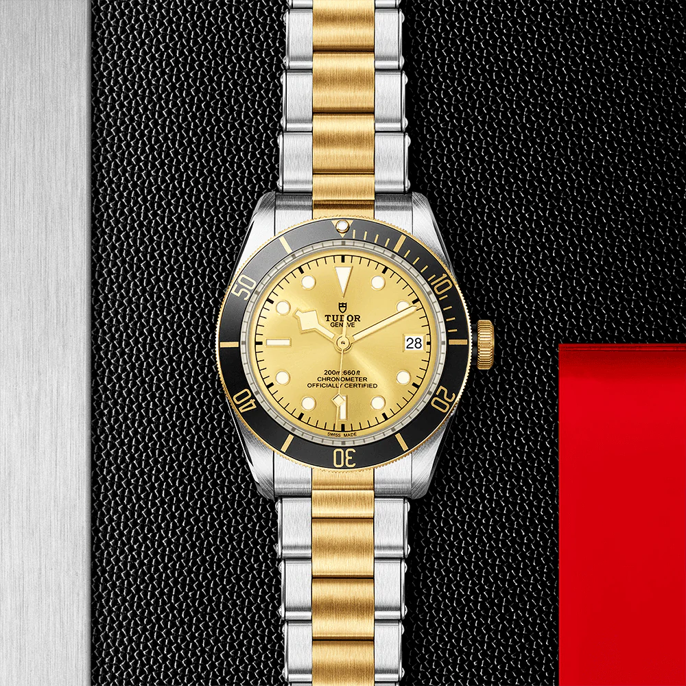 TUDOR Black Bay S&G 41mm Champagne Dial Automatic Men's Bracelet Watch M79733N-0004