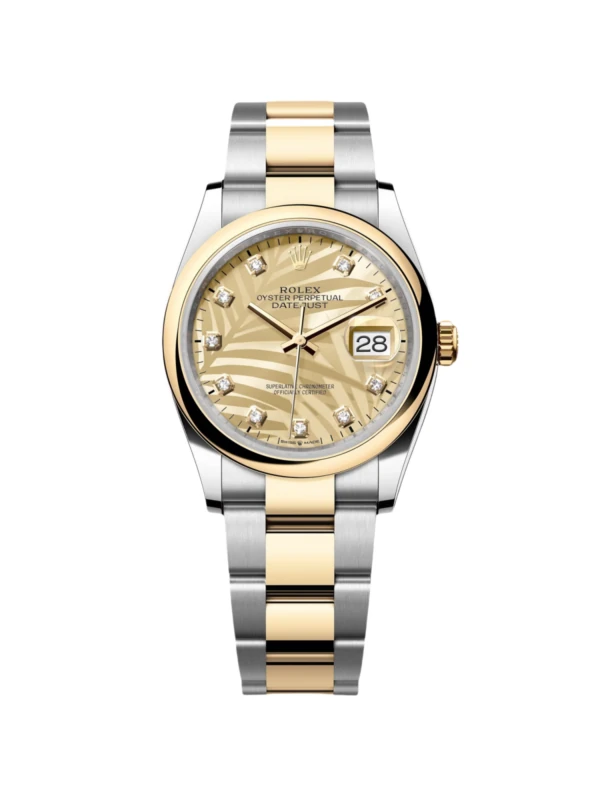 RLX Datejust 36mm 126203 Golden Palm Dial Domed Bezel Oyster Bracelet