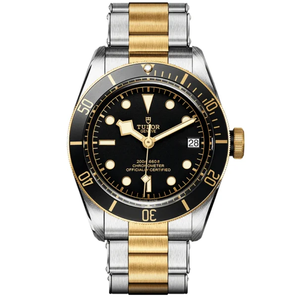TUDOR Black Bay S&G 41mm Black/Gold Dial Automatic Men's Bracelet Watch M79733N-0008