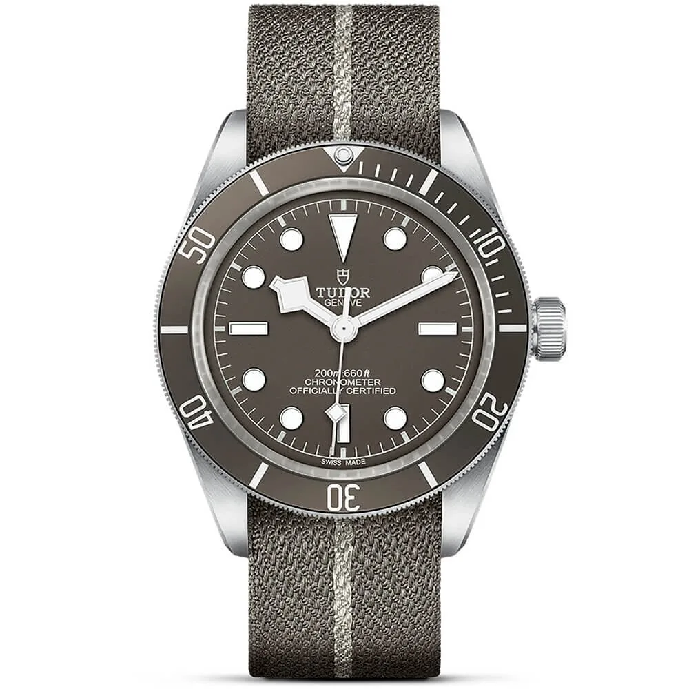 TUDOR Black Bay 58 925 39mm Silver Case Taupe Dial Fabric Strap Watch