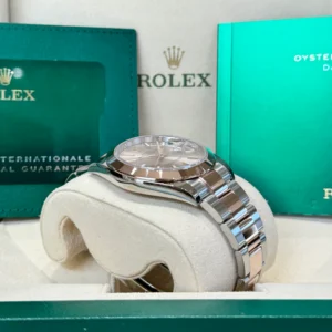 RLX Datejust 41mm 126301 Sundust Index Oyster Steel and Everose Gold Watch